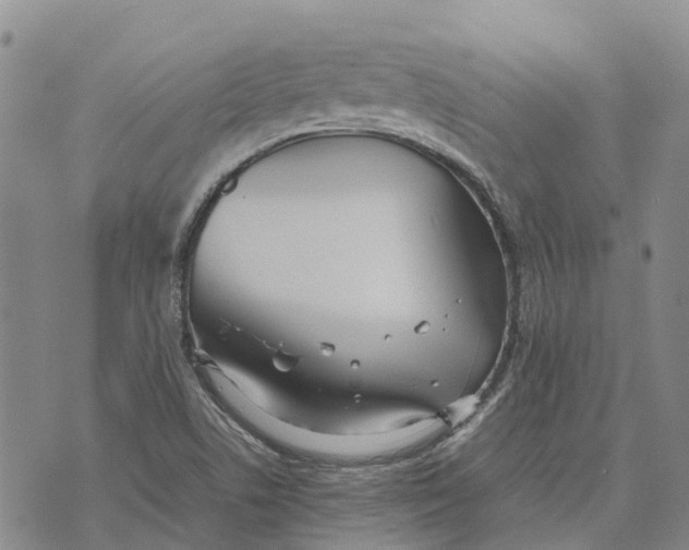 X0000072521506200608041519