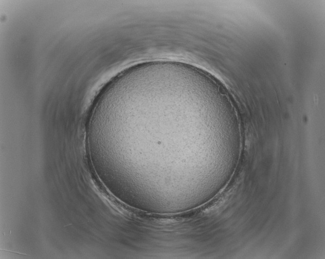 X0000072521507200608041519