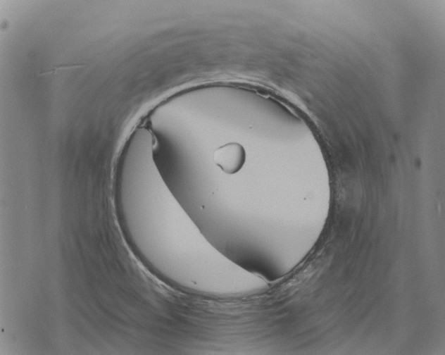 X0000072521508200608041519