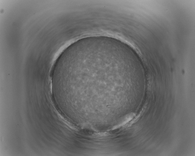 X0000072521509200608041519