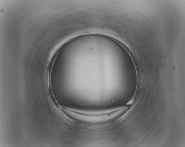 X0000072521510200608041519