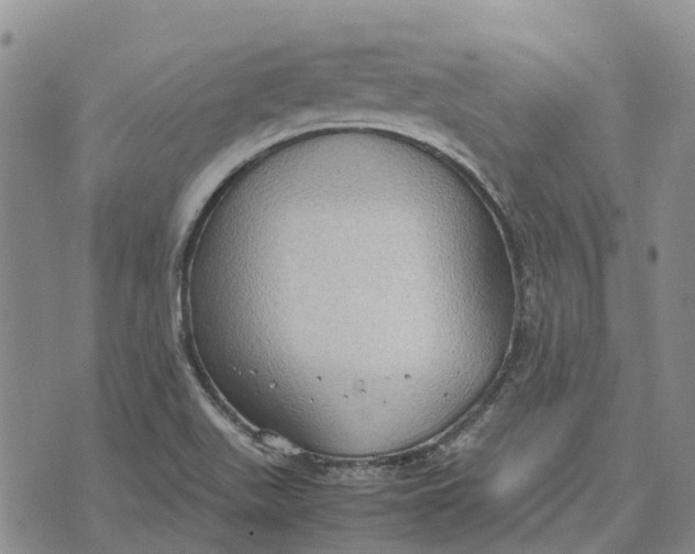 X0000072521511200608041519