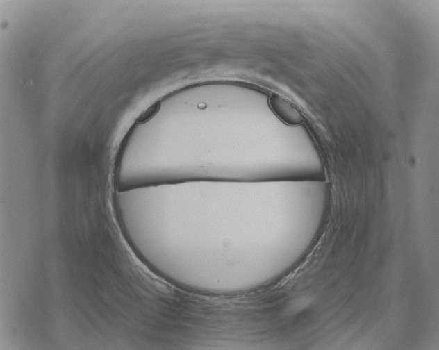 X0000072521512200608041519