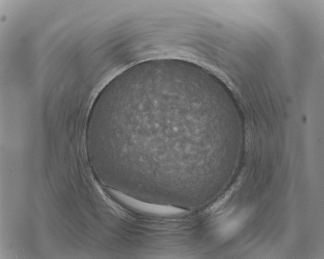 X0000072521513200608041519