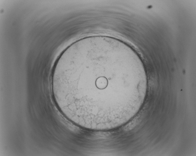 X0000072521514200608041519