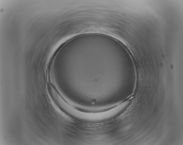 X0000072521515200608041519