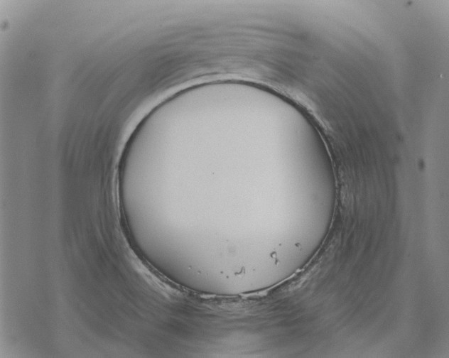 X0000072521516200608041519