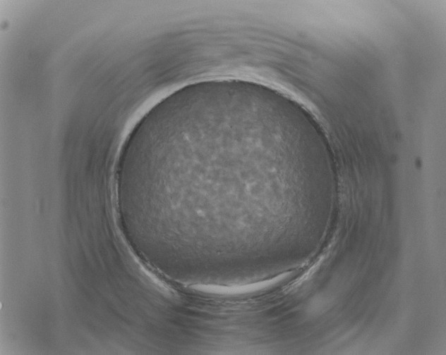 X0000072521517200608041519