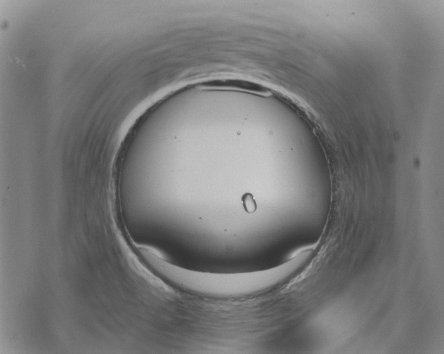 X0000072521518200608041519