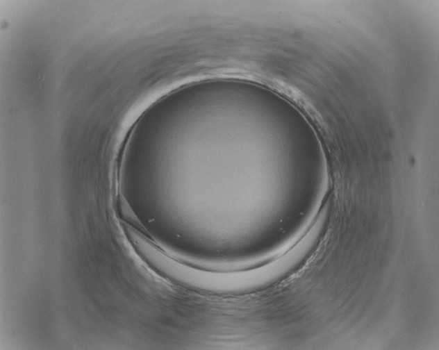 X0000072521520200608041519