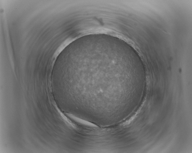 X0000072521521200608041519