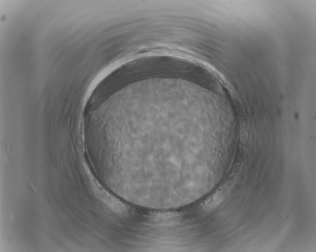 X0000072521522200608041519