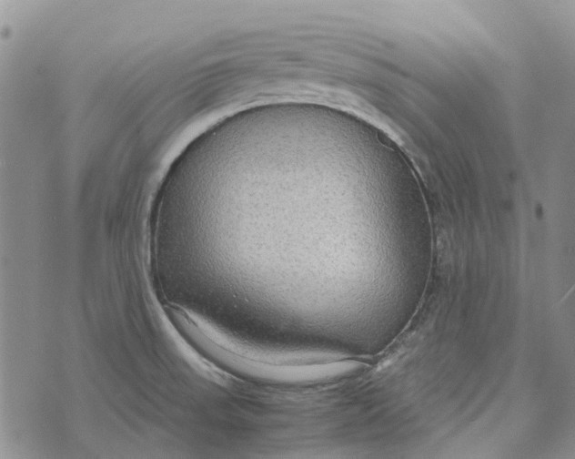 X0000072521523200608041519