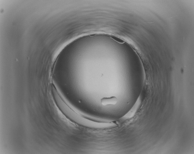 X0000072521524200608041519