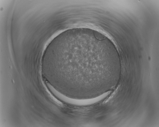 X0000072521525200608041519