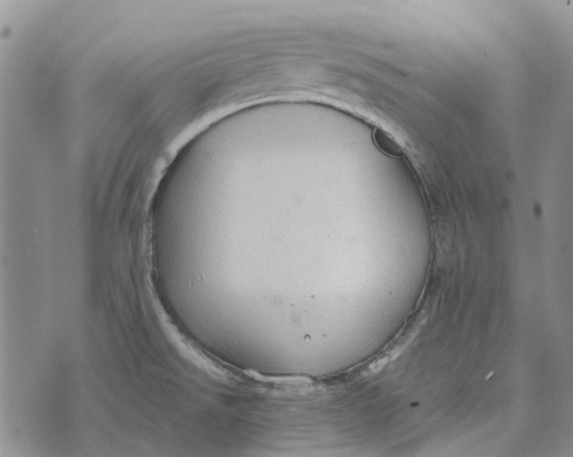 X0000072521526200608041519