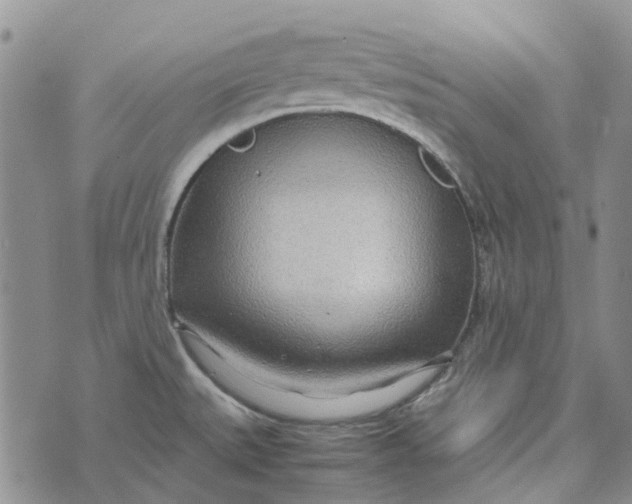 X0000072521527200608041519