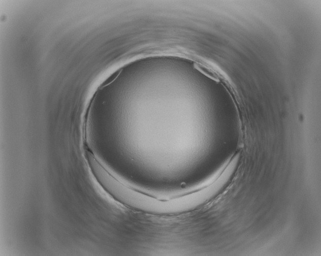 X0000072521528200608041519