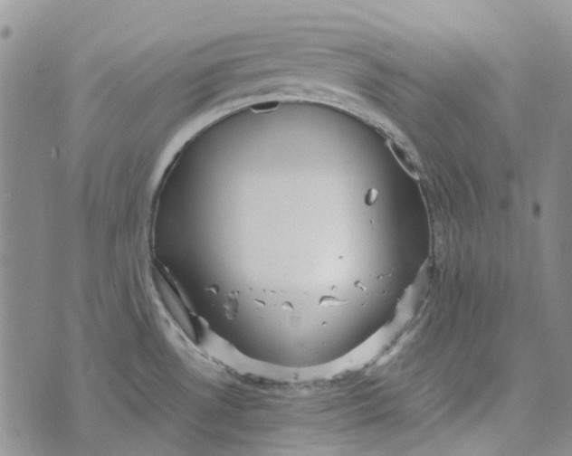 X0000072521530200608041519