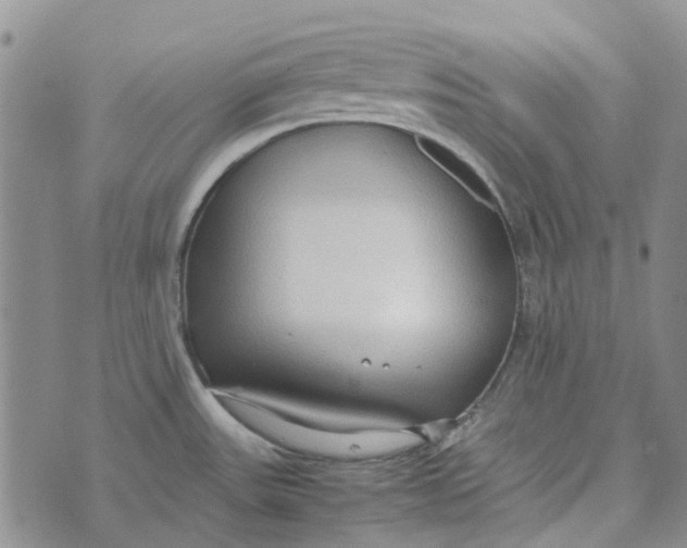 X0000072521531200608041519