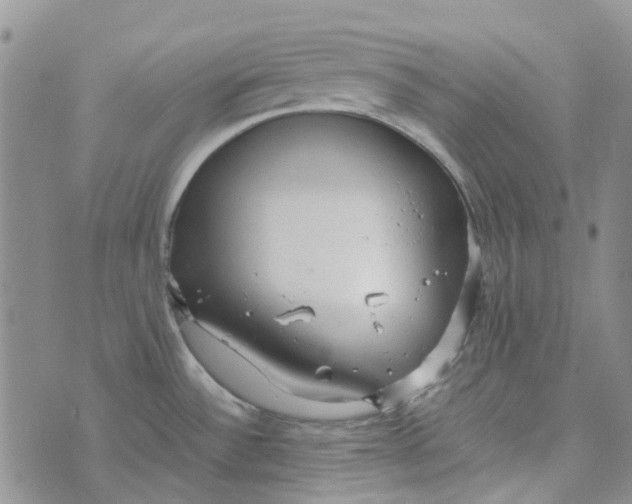 X0000072521532200608041519