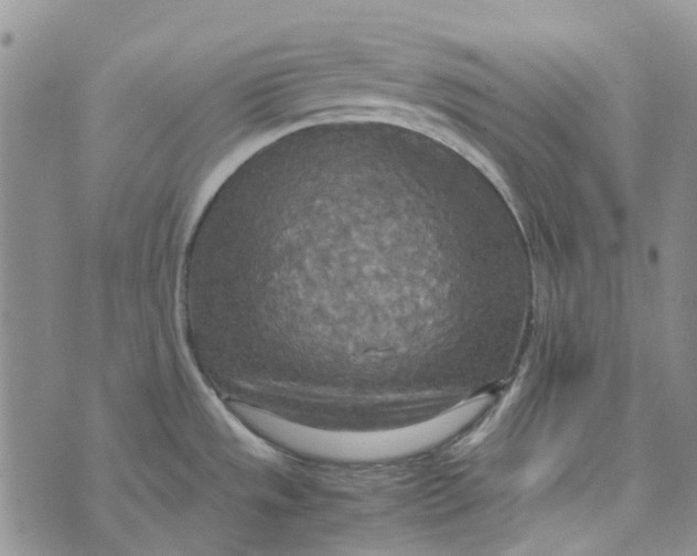 X0000072521533200608041519