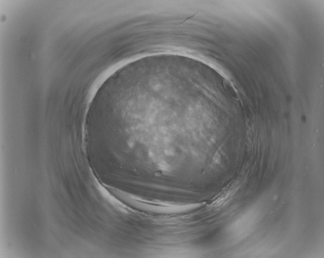 X0000072521535200608041519