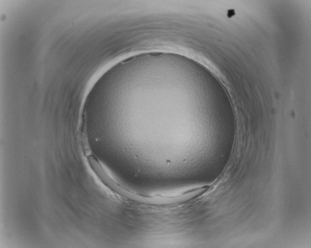 X0000072521536200608041519