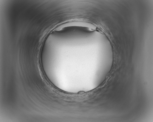 X0000072520001200608111732