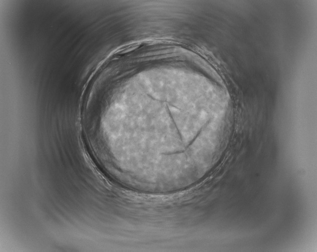 X0000072520002200608111732