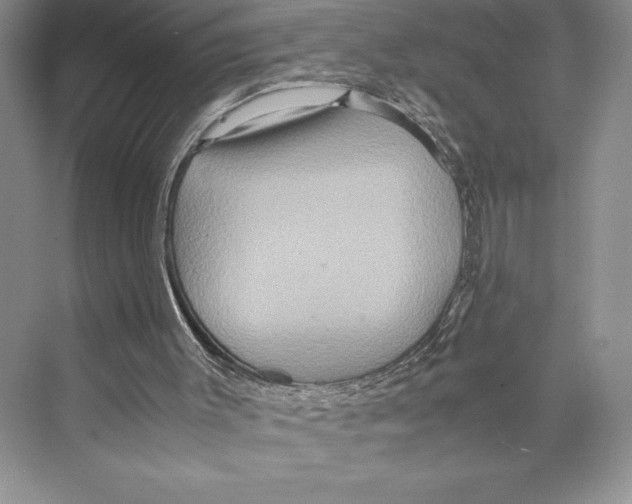 X0000072520003200608111732