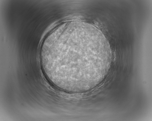 X0000072520004200608111732