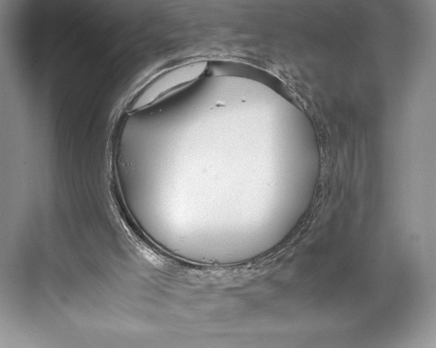 X0000072520005200608111732