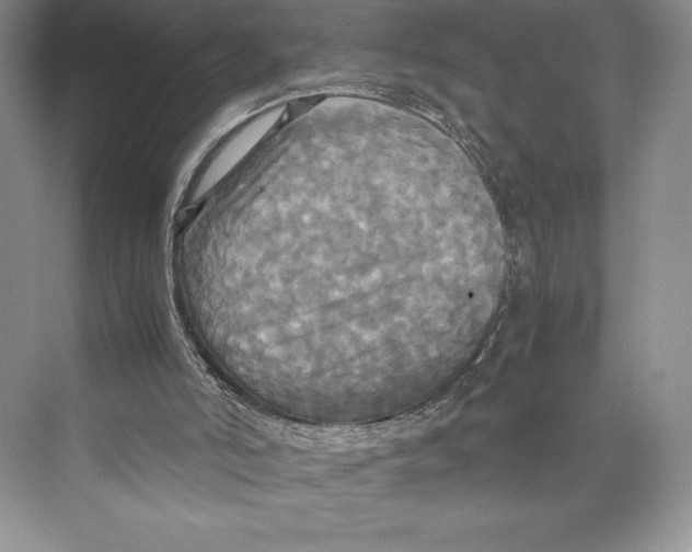 X0000072520006200608111732