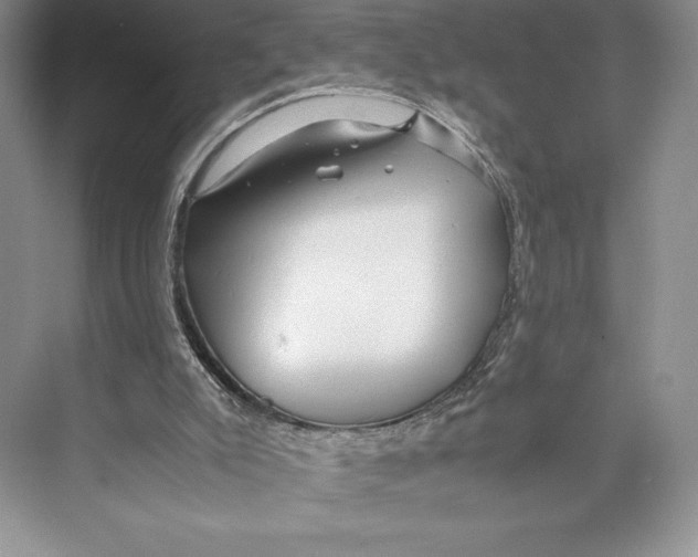 X0000072520007200608111732