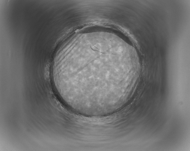 X0000072520010200608111732