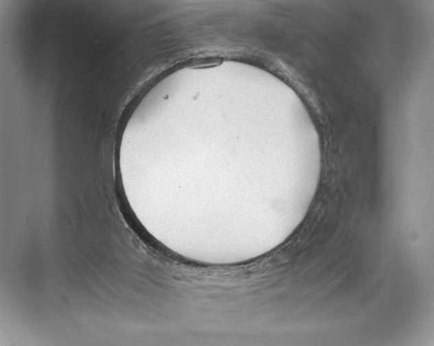 X0000072520011200608111732