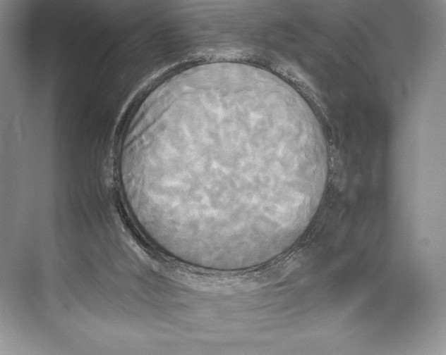 X0000072520012200608111732