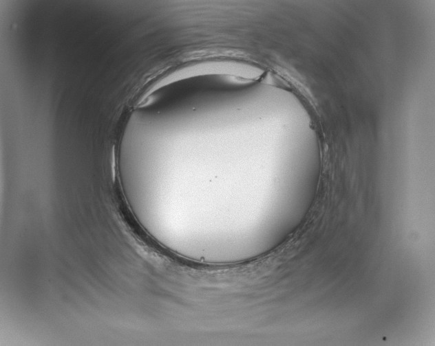 X0000072520013200608111732