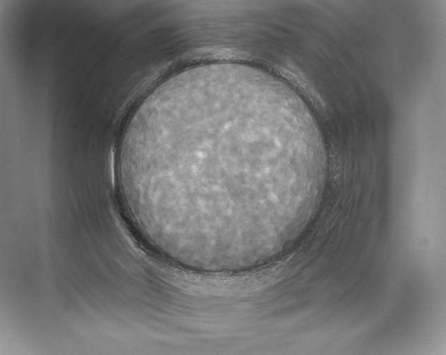 X0000072520014200608111732