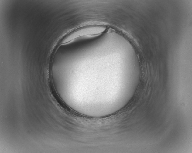 X0000072520015200608111732