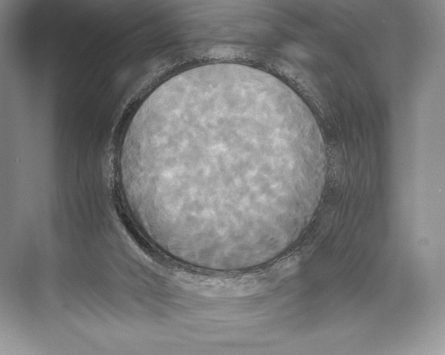 X0000072520016200608111732