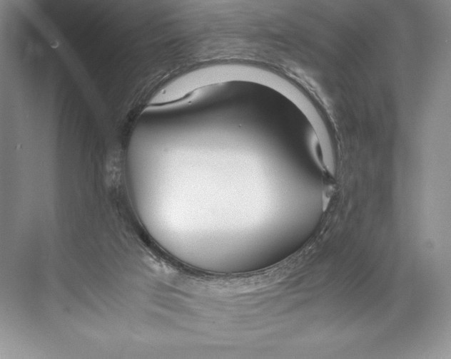 X0000072520017200608111732