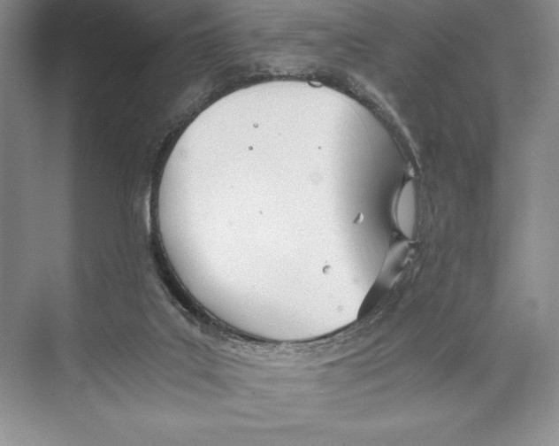 X0000072520019200608111732