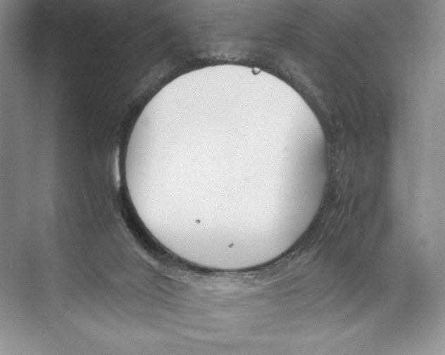 X0000072520020200608111732