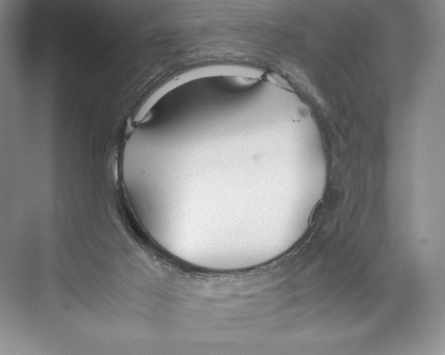 X0000072520021200608111732