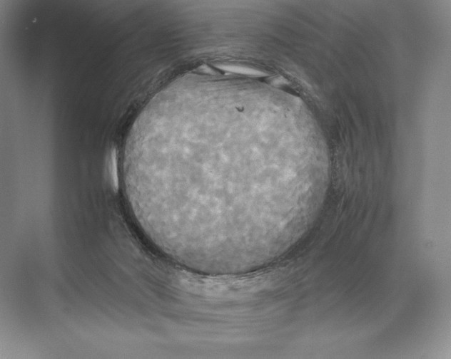 X0000072520022200608111732