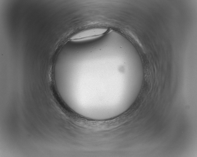 X0000072520023200608111732