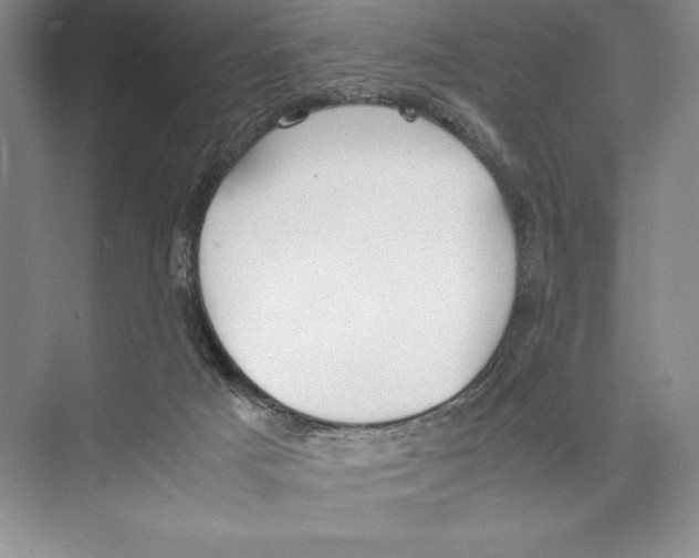 X0000072520025200608111732