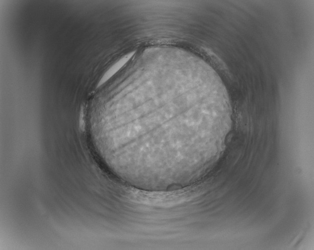 X0000072520026200608111732